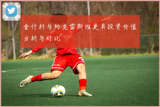 舍什科与约克雷斯谁更具投资价值分析与对比