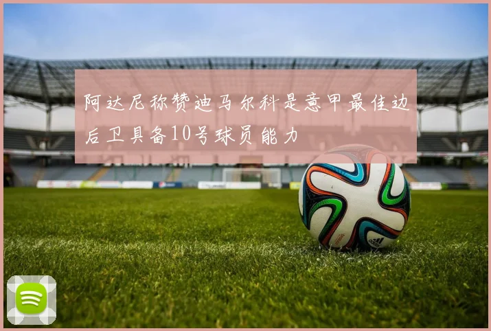 阿达尼称赞迪马尔科是意甲最佳边后卫具备10号球员能力